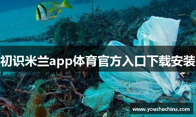 初识米兰app体育官方入口下载安装